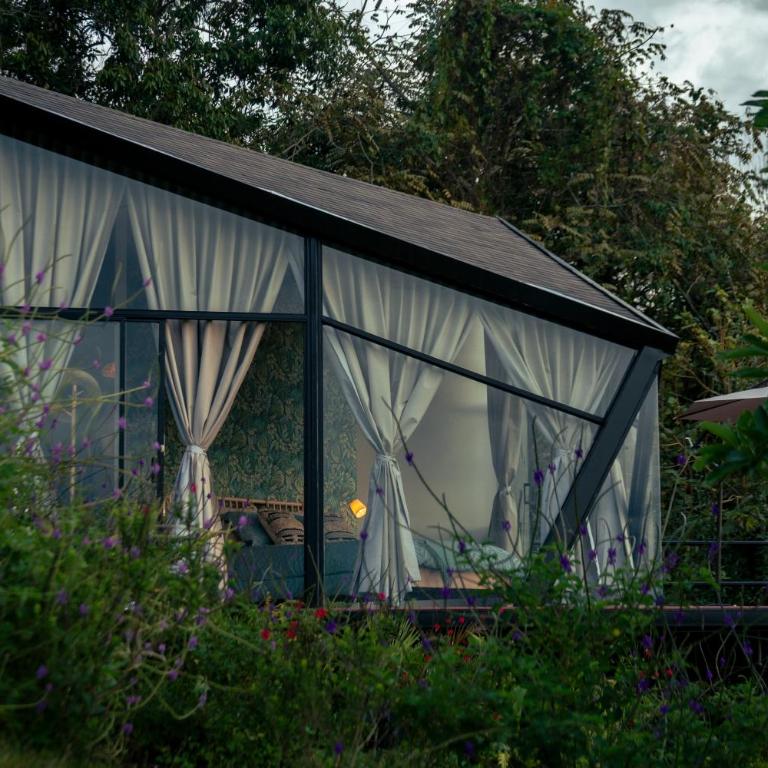 Glamping Santuario Quindio - Habitación Deluxe - 2