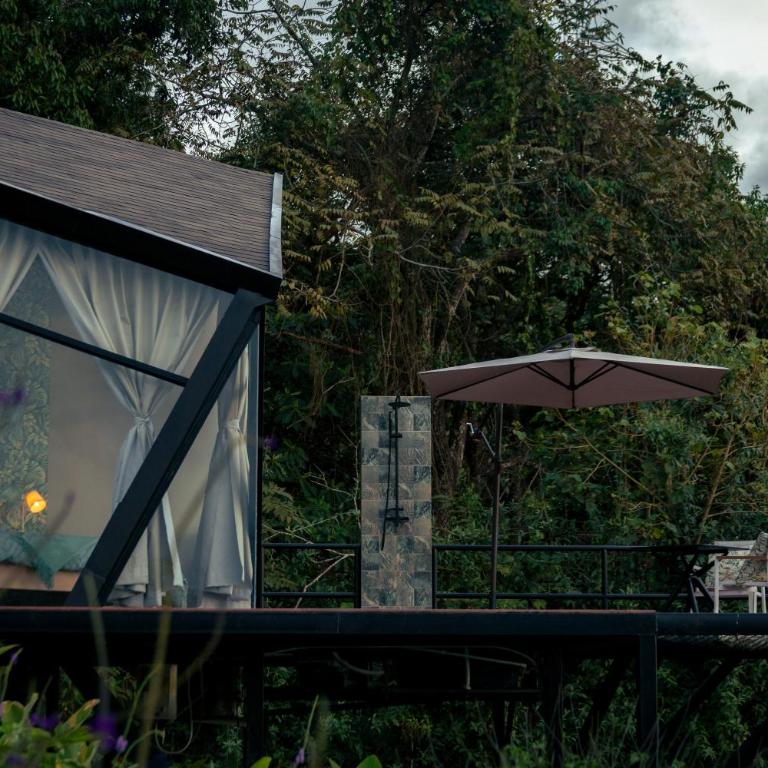 Glamping Santuario Quindio - Habitación Deluxe - 19