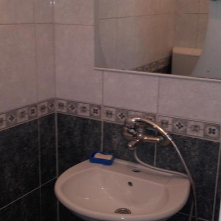 Guest House Dragomir - Apartman sa Balkonom - 5