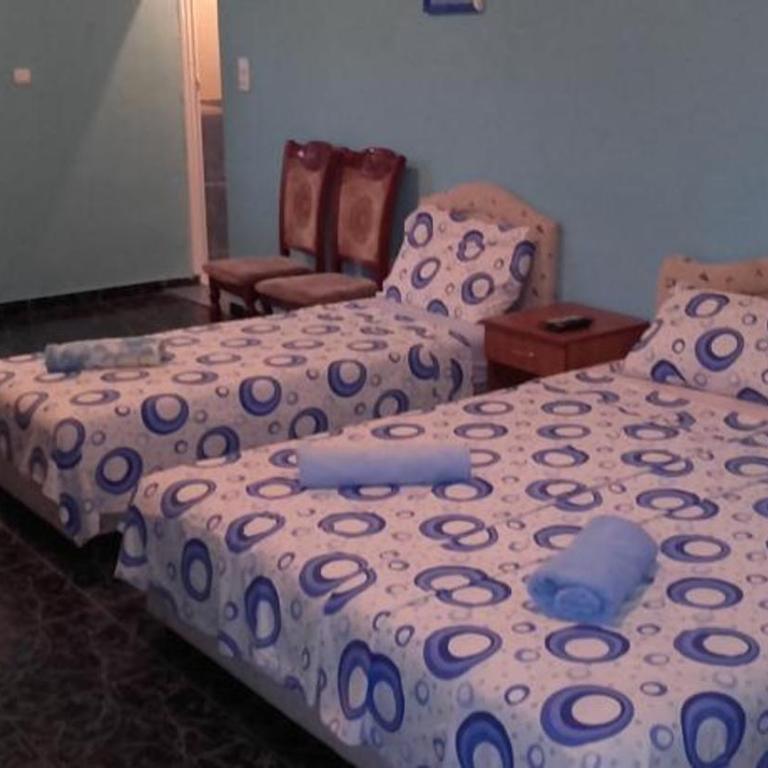 Guest House Dragomir - Apartman sa Terasom - 6