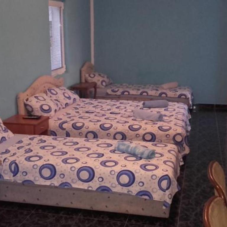 Guest House Dragomir - Apartman sa Terasom - 5