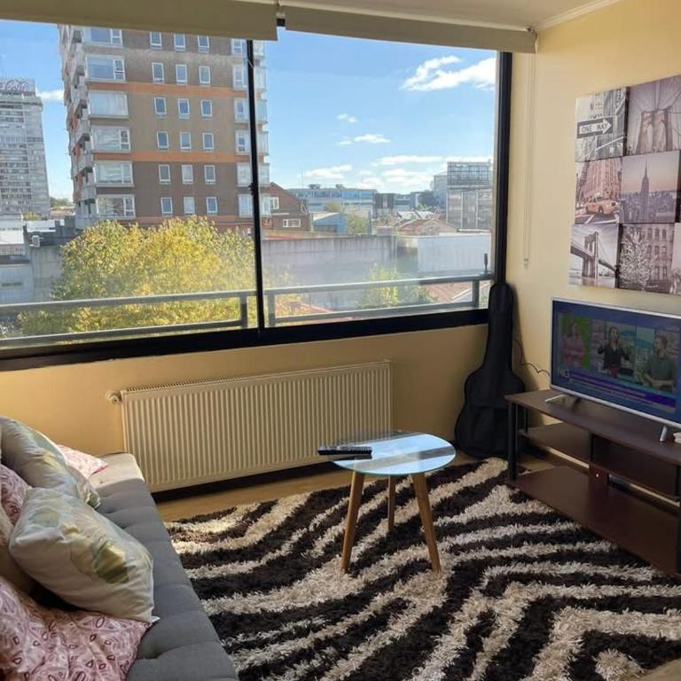 Edificio don Pedro 2 - One-Bedroom Apartment with View - 5