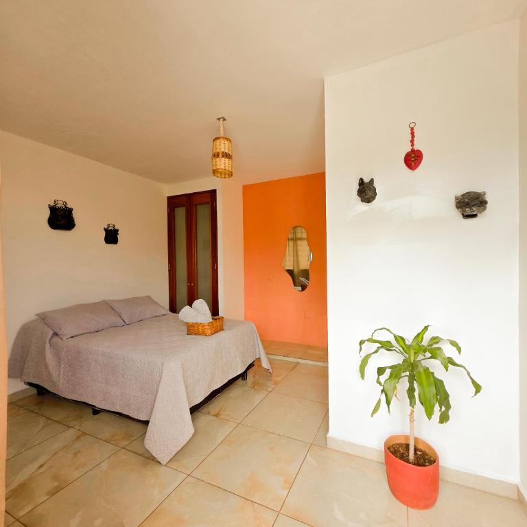 Habitaciones CASA BULE - Habitación Doble con baño privado - 2