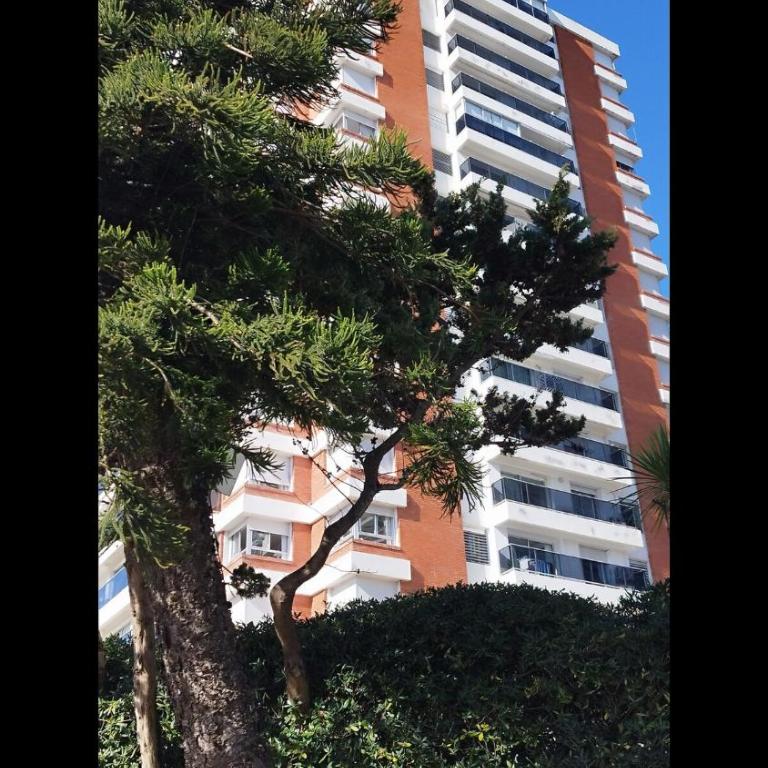 Apartamento en Punta del Este - One-Bedroom Apartment - 21