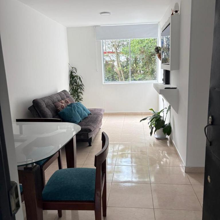 Amplio apartamento 806 - Apartamento de 2 dormitorios - 1