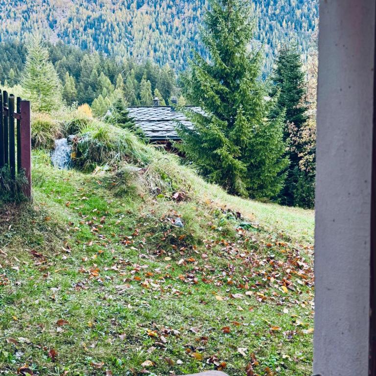Hüttli Chalet Weitblick 10 Minuten zur Skigondel und Aletschgletscher - Apartment mit 1 Schlafzimmer - 23