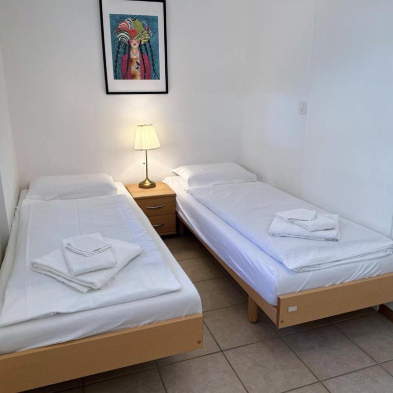 Flüe 8 - Apartamento con balcón - 28