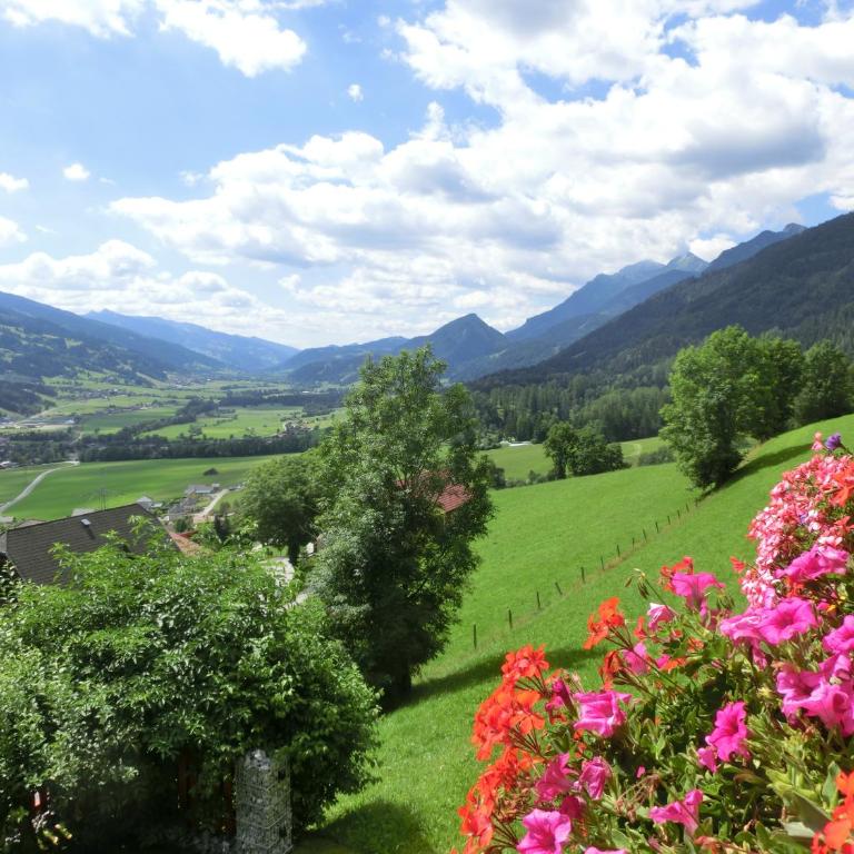 Ferienhaus Schwab - Appartamento con Vista Montagna - 8