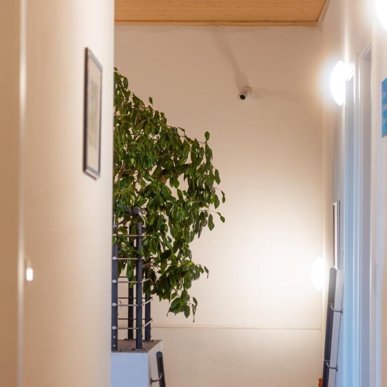 211 Amsterdam, Studio Apartment, 30m2 1-4 Pers - Studio - 43