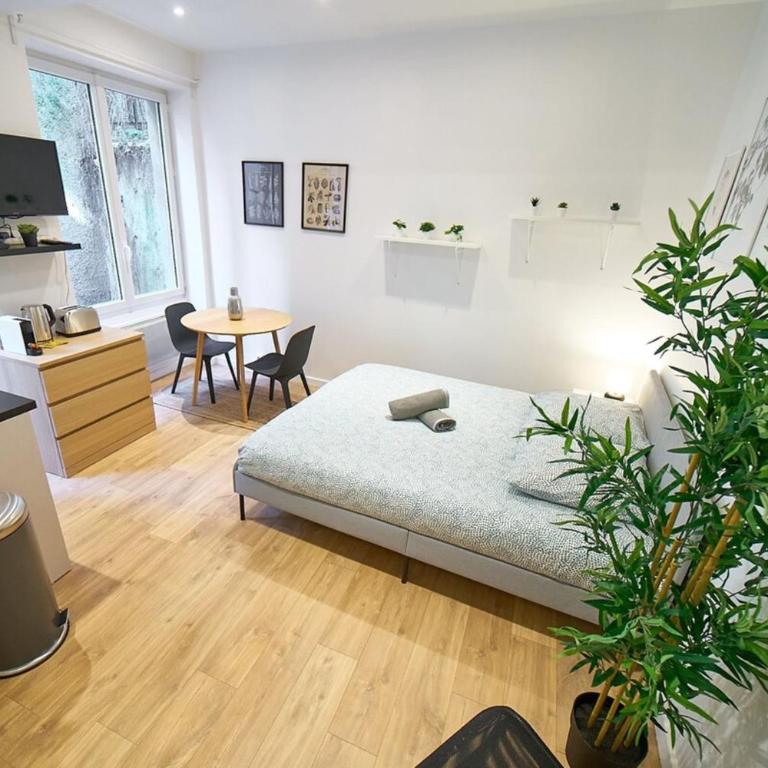 Le Petit Pierre Scize - Quais de Saône - Appartement - 3