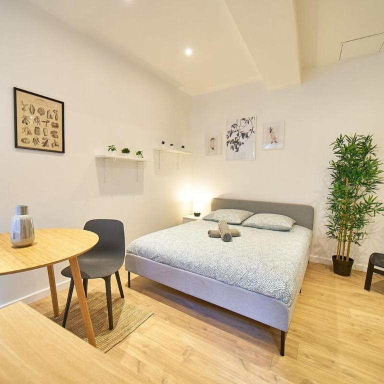Le Petit Pierre Scize - Quais de Saône - Appartement - 4