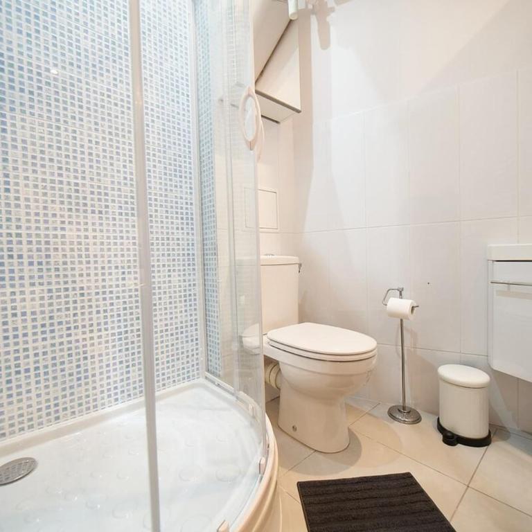 Le Petit Pierre Scize - Quais de Saône - Appartement - 8