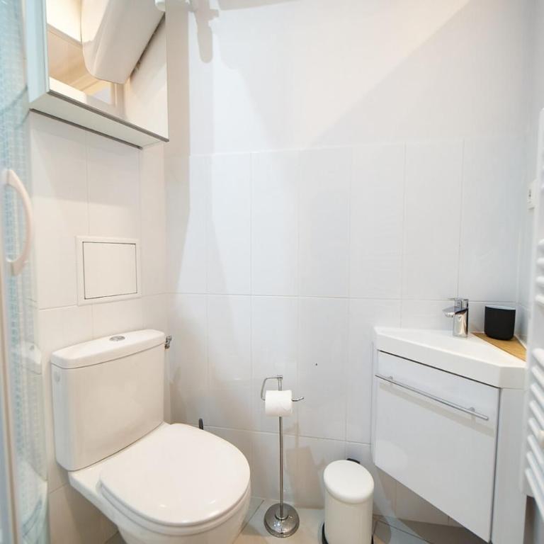 Le Petit Pierre Scize - Quais de Saône - Appartement - 10