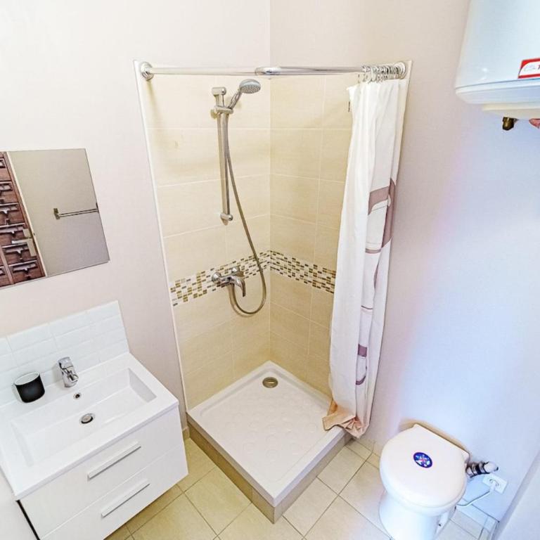 Le petit Delore - Studio 2 personnes - Lyon 8 - Appartement - 9