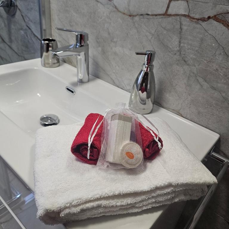 Rubin Stay-Karabas Apartments-con garage - Appartamento con 1 Camera da Letto - 34