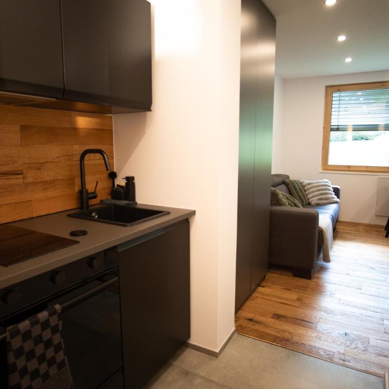 Alpin Chalet - One-Bedroom Apartment - 4