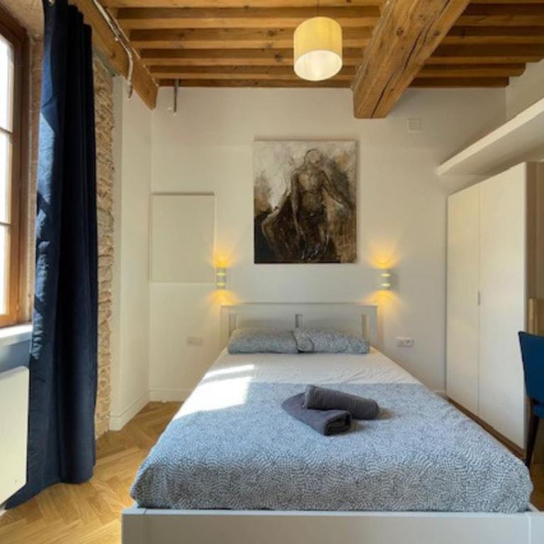 Le Petit St Pierre charmant 2 pers Valmy - Appartement - 5
