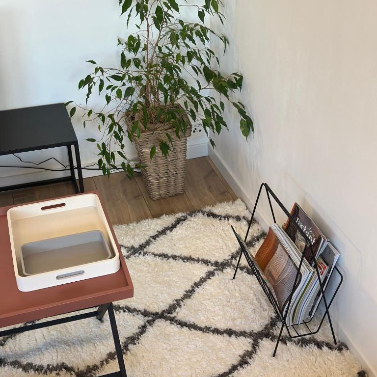 Aux Trompettes Violettes - Apartamento de 1 dormitorio - 30