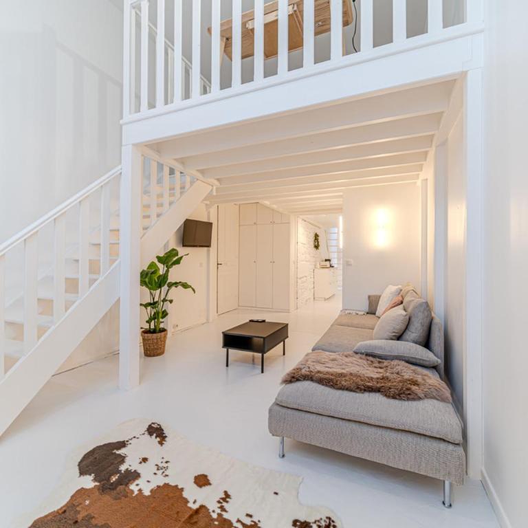 Atypical apartment with mezzanines Lyon 3 near Saxe-Gambetta - Apartment - 3