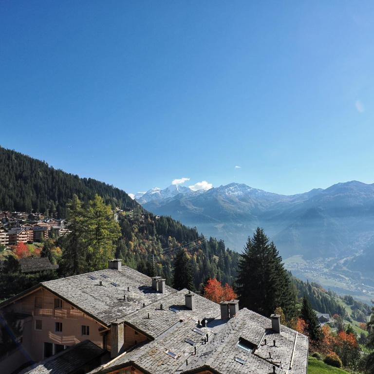Grands Ducs 532 - Appartement - 15