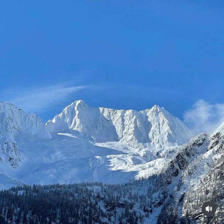 Il nido delle Alpi - Appartamento con 1 Camera da Letto - 27