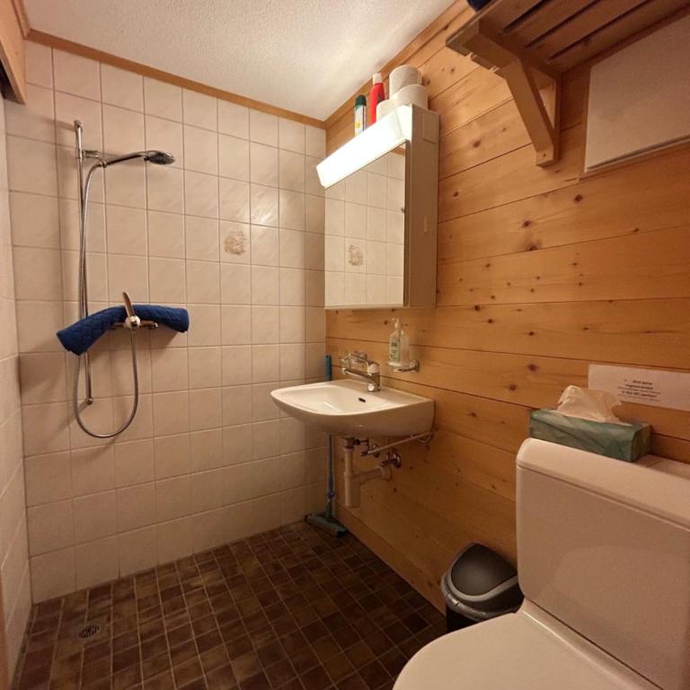 Sertig Ferienwohnung - Apartment mit Blick auf die Berge - 24