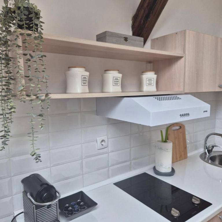 City Nest Apartments NS - Apartman sa 1 Spavaćom Sobom - 5