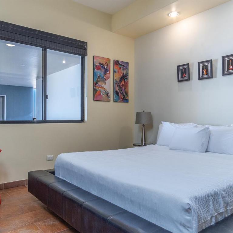 Las Palomas Beach and Golf Resort - Casa - 10