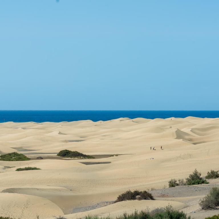 Parque Agaete near beach - One-Bedroom Apartment - 31