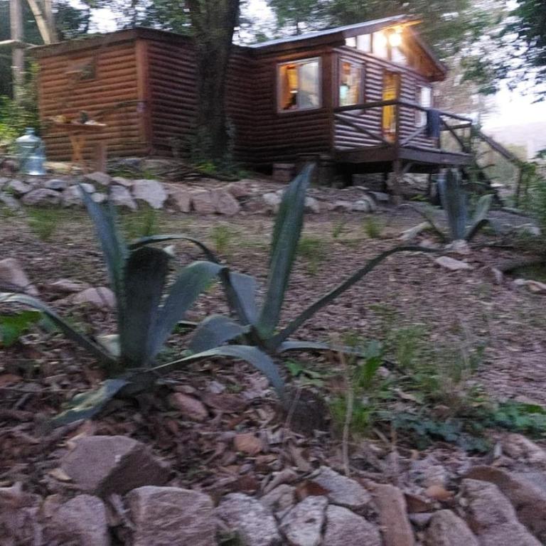 cabaña en el bosque - One-Bedroom House - 6