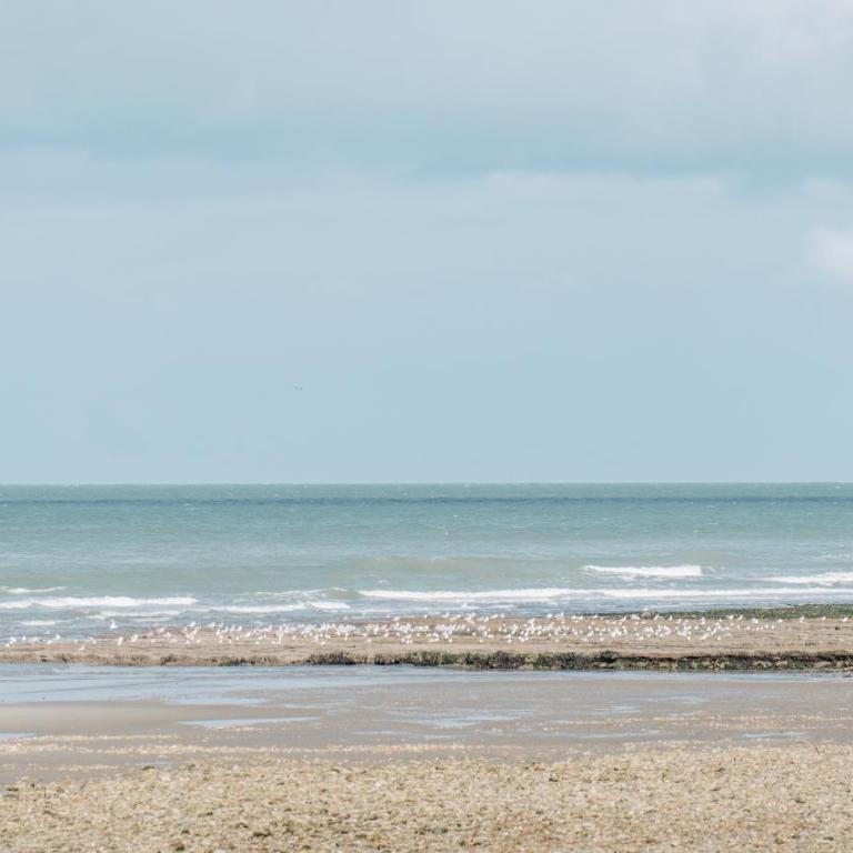 L'Opaline, Ravissante maison familiale, Wimereux - Two-Bedroom House - 34
