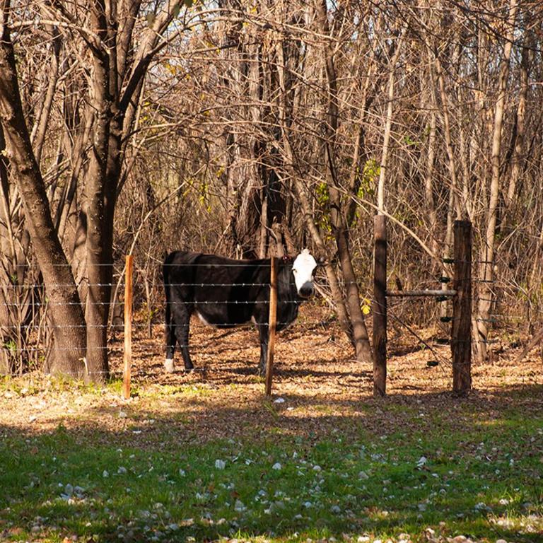 Casa Quinta con quincho y piscina a 50m del río - Villa - 40