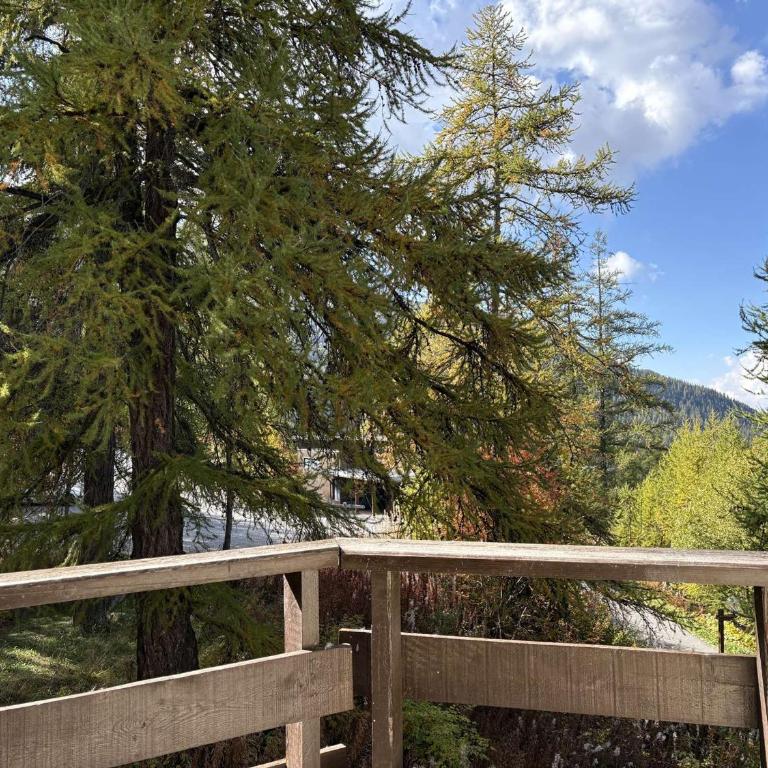 Studio tranquille aux Orres, à deux pas des pistes - FR-1-322-570 - Monolocale - 11