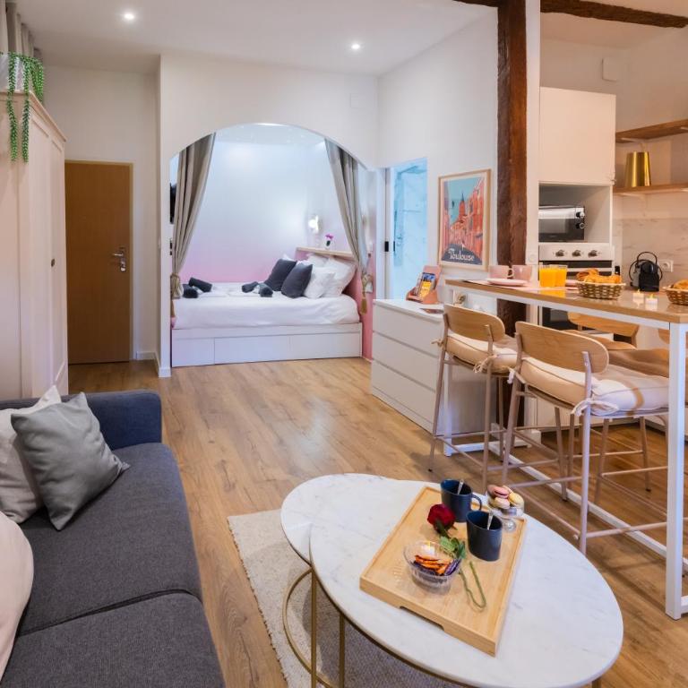 Studio Toulouse Capitole La Voute Rose - Appartamento con 1 Camera da Letto - 63