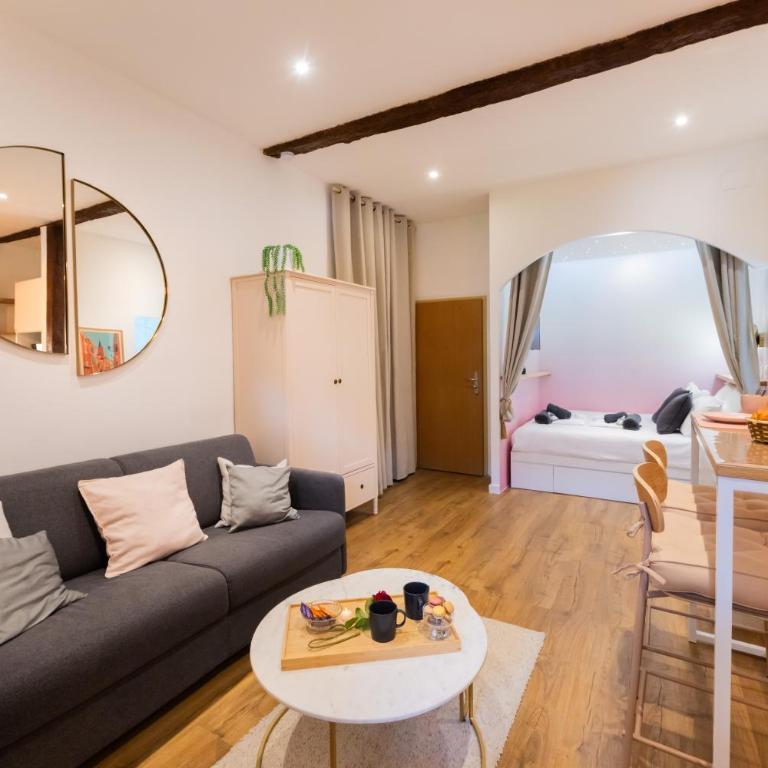 Studio Toulouse Capitole La Voute Rose - Appartamento con 1 Camera da Letto - 14
