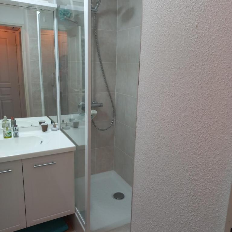 Appartement classé 2 étoiles, rez de jardin Les ISSAMBRES vue sur le golfe de St Tropez - Appartement 1 Chambre - 20