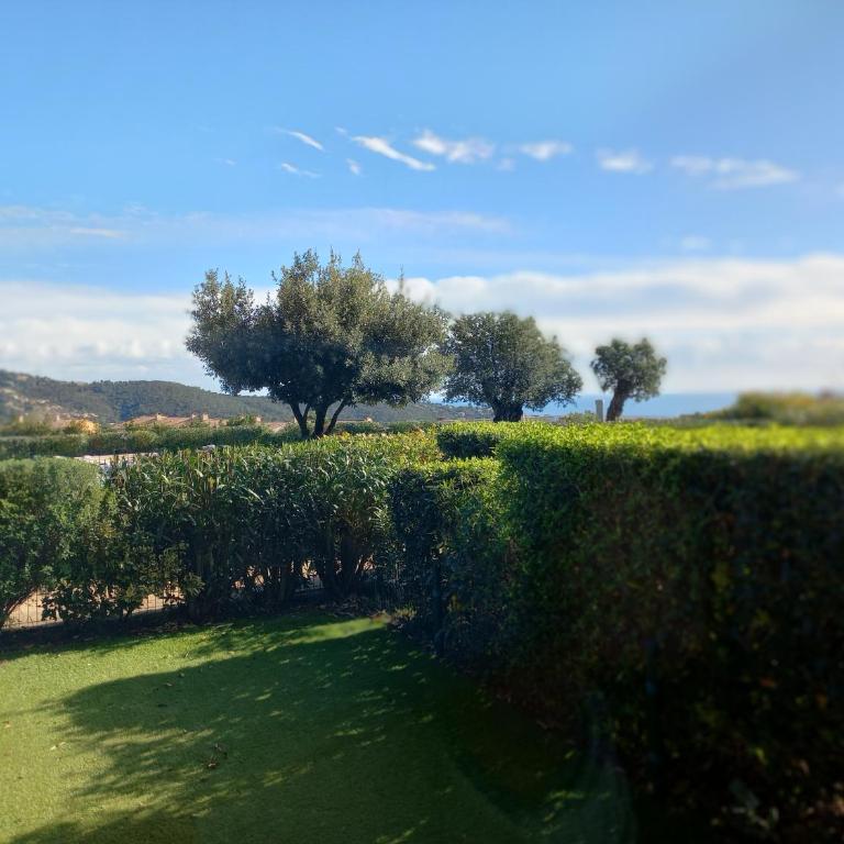 Appartement classé 2 étoiles, rez de jardin Les ISSAMBRES vue sur le golfe de St Tropez - Appartement 1 Chambre - 10