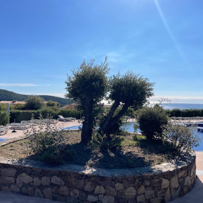 Appartement classé 2 étoiles, rez de jardin Les ISSAMBRES vue sur le golfe de St Tropez - Appartement 1 Chambre - 29
