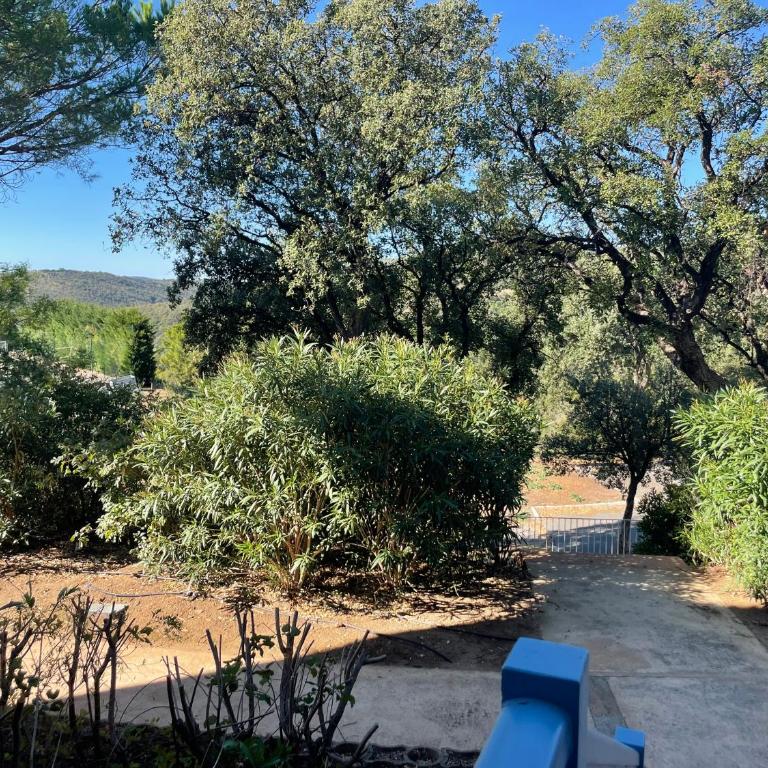 Appartement classé 2 étoiles, rez de jardin Les ISSAMBRES vue sur le golfe de St Tropez - Appartement 1 Chambre - 33