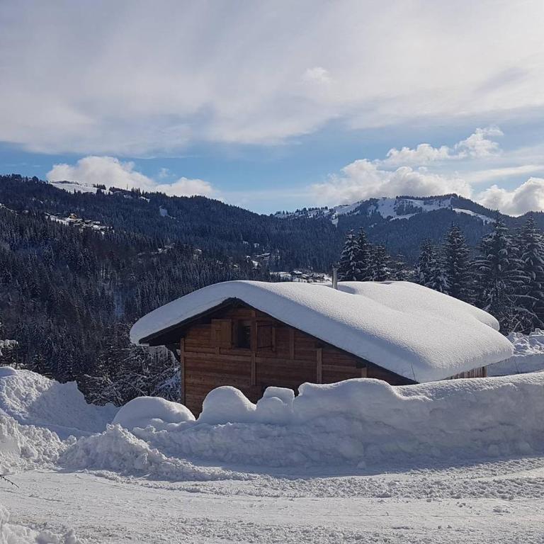 Chalet 8 pers à Les Gets, navette hiver, linge/ménage inclus - FR-1-802-83 - Chalet - 19