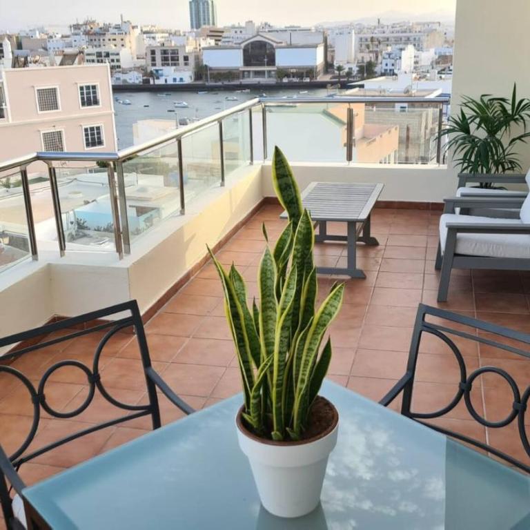 Arrecife Charco de San Gines Terraza con vistas al mar - Apartment with Sea View - 12