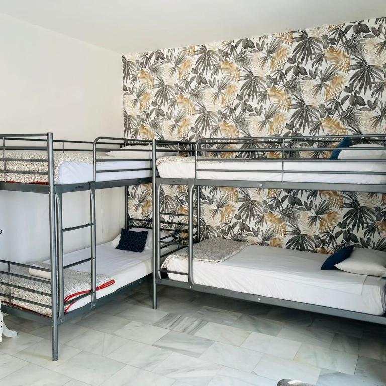 Málaga Centro Hostel - Habitación Familiar con baño - 5