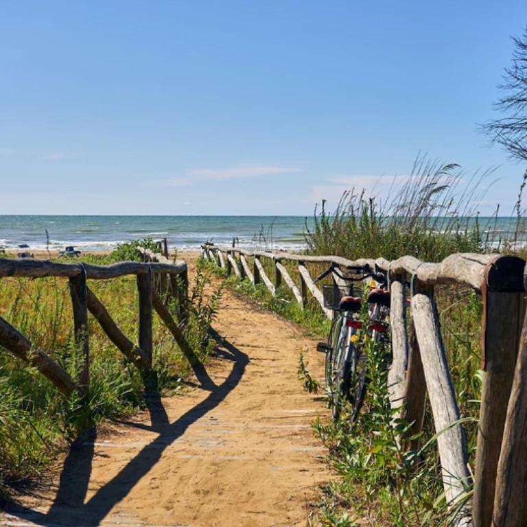 Beachfront flat with terrace - Appartamento - 19
