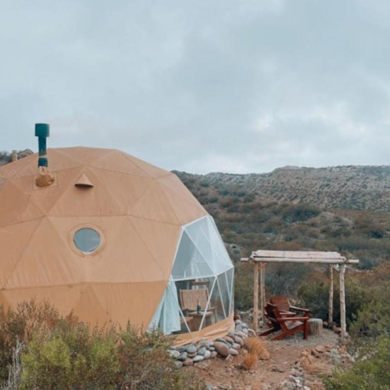 Glamping Potrerillos - Bungalow Familiar - 3