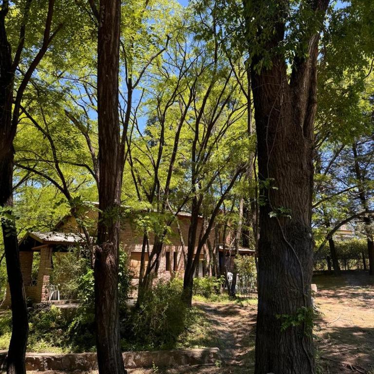 Casa de Campo - Casa de 2 dormitorios - 2