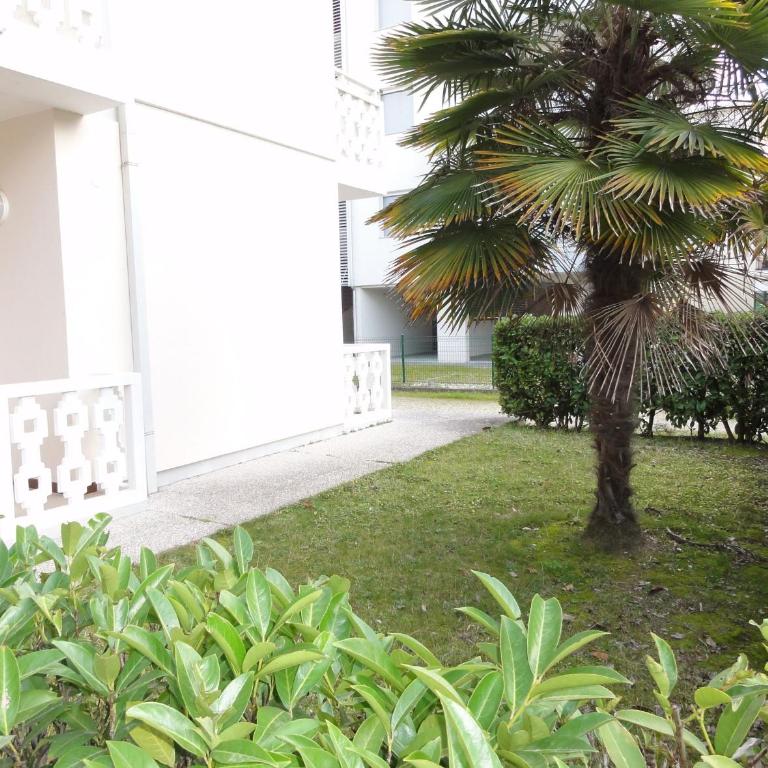 Flat close to the thermal baths - Appartamento - 9