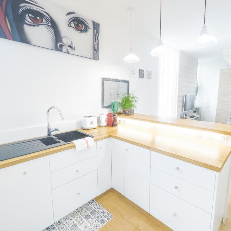 Très beau et grand T2, jardin et terrasse - Maison 1 Chambre - 4