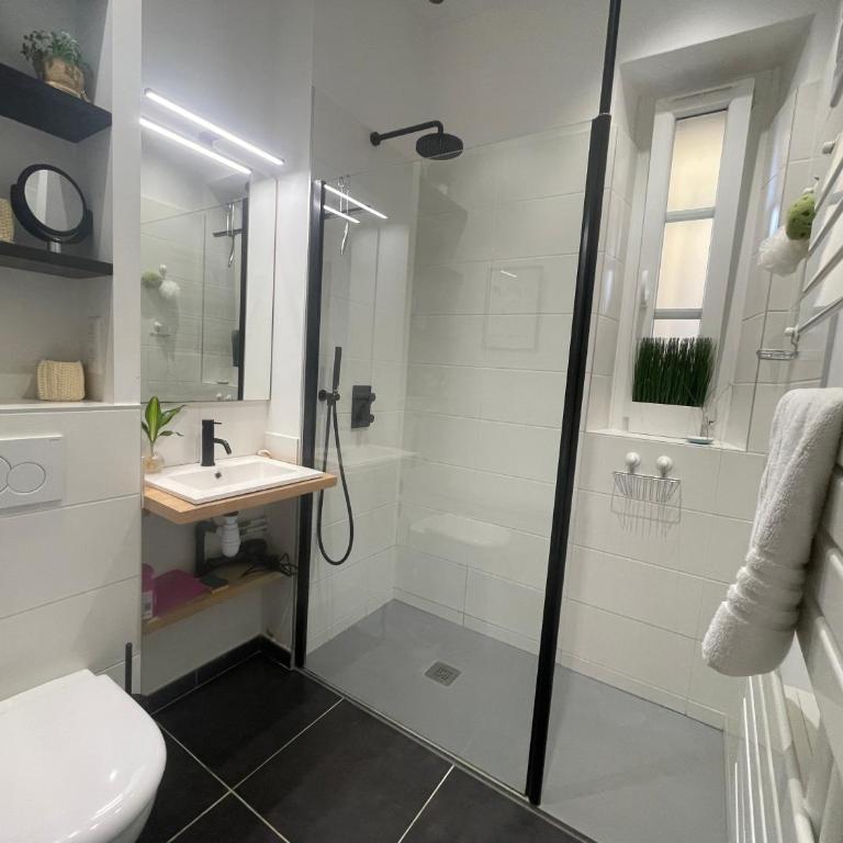 Très beau et grand T2, jardin et terrasse - Maison 1 Chambre - 10