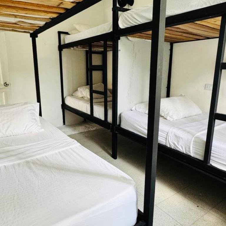 Baku Laureles Hostel - Cama en habitación compartida mixta de 8 camas - 2