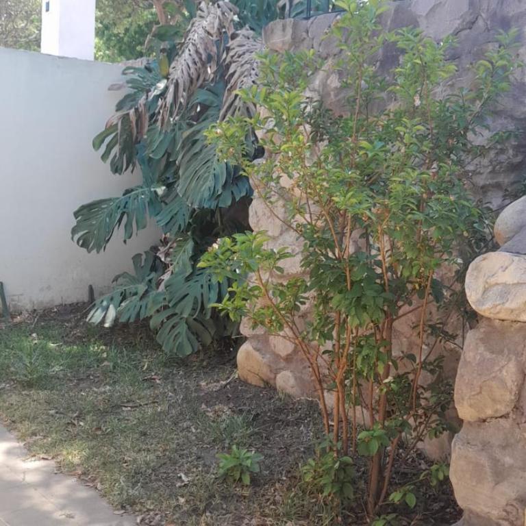 Casa con jardín y vista al cerro en Portezuelo Salta - Casa de 2 dormitorios - 1